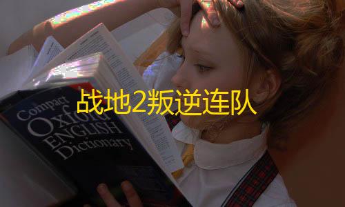 云盘存储战地2叛逆连队